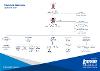 SAC Organisational Structure Chart -Education extended with descriptions - June 2026