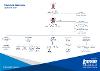 SAC Organisational Structure Chart -Education extended with descriptions - June 2026