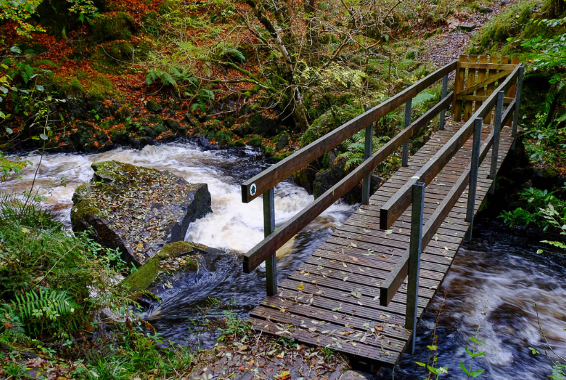 Image representing Family Hill Walk - Ness Glen (River Doon - Dalmellington)