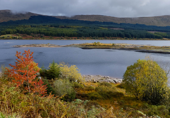 Image representing Family Hill Walk - Loch Doon (Craiglea Trail)